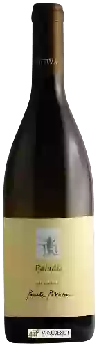 Wijnmakerij MURVA - Renata Pizzulin Estate Wines - Paladis Chardonnay