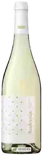 Wijnmakerij Murviedro - Audentia Sauvignon Blanc