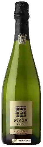 Wijnmakerij MVSA de Vallformosa - Cava Brut Nature