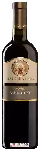 Wijnmakerij Natale Verga - Merlot Veneto