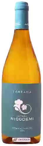 Wijnmakerij Nicodemi - Terrana Trebbiano d'Abruzzo