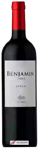 Wijnmakerij Nieto Senetiner - Benjamin Syrah