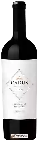 Wijnmakerij Nieto Senetiner - Cadus Finca Las Torcazas Malbec (Single Vineyard)