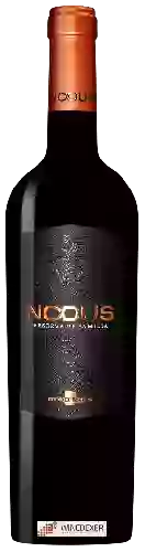 Bodegas Nodus - Reserva de Familia