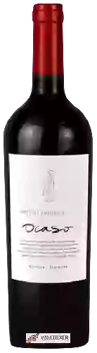 Wijnmakerij Ocaso - Cabernet Sauvignon