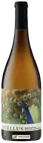 Wijnmakerij Ocellus - Pinot Grigio