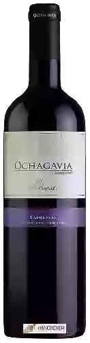 Wijnmakerij Ochagavia - Silvestre Carmenère