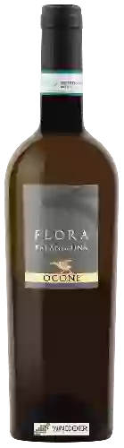Wijnmakerij Ocone - Flora Falanghina