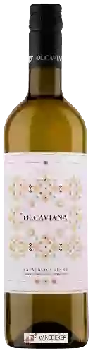 Wijnmakerij Olcaviana - Sauvignon Blanc