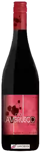 Wijnmakerij Opici - Lambrusco