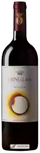 Wijnmakerij Ornellaia - Vendemmia d'Artista Solare