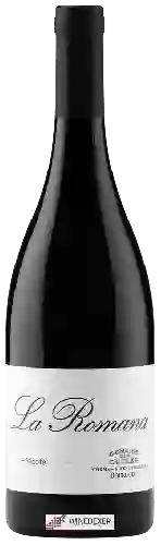 Domaine des Ouches - La Romana Bourgueil