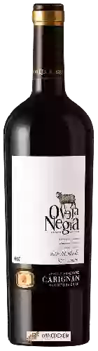 Wijnmakerij Oveja Negra - Single Vineyard Carignan