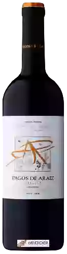 Wijnmakerij Pagos de Aráiz - Crianza