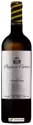 Wijnmakerij Pago de Cirsus - Chardonnay