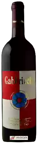 Wijnmakerij Pakravan Papi - Gabbriccio