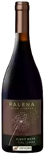 Wijnmakerij Palena - Gran Reserva Pinot Noir