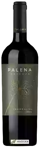 Wijnmakerij Palena - Reserva Carménère