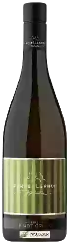 Wijnmakerij Pardellerhof Montin - Pinot Grigio