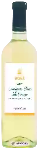 Wijnmakerij Parolvini - Bosa Sauvignon Blanc