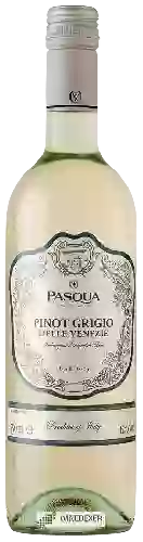 Wijnmakerij Pasqua - Pinot Grigio delle Venezie