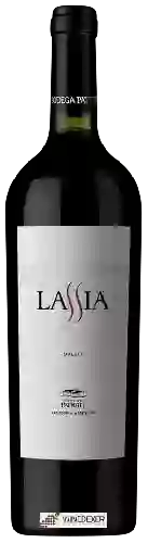 Wijnmakerij Patritti - Lassia Malbec