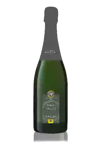 Wijnmakerij Paul Chollet - Crémant de Bourgogne Blanc de Noir Brut