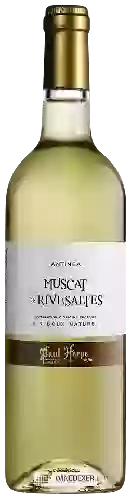 Wijnmakerij Paul Herpe - Antinéa Muscat de Rivesaltes