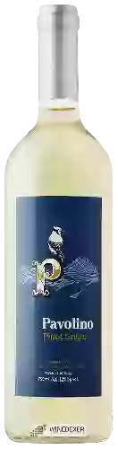 Wijnmakerij Pavolino - Pinot Grigio