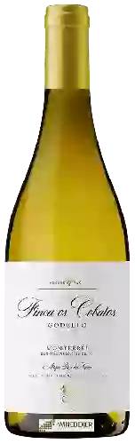 Wijnmakerij Pazo Das Tapias - Finca os Cobatos Godello