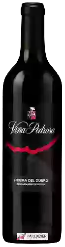 Wijnmakerij Viña Pedrosa - Ribera del Duero