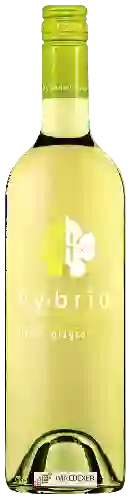 Wijnmakerij Peltier - Hybrid by Peltier Station Pinot Grigio