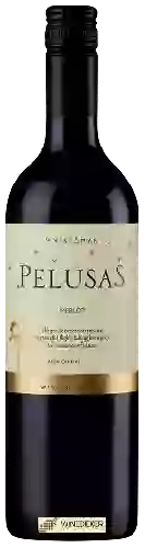 Wijnmakerij Pelusas - Merlot