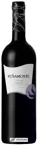 Wijnmakerij Peñamonte - Cosecha