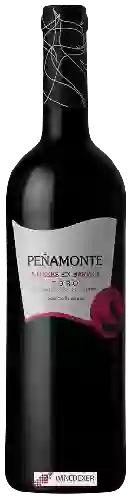Wijnmakerij Peñamonte - 5 Meses en Barrica