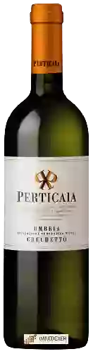 Wijnmakerij Perticaia - Umbria Grechetto