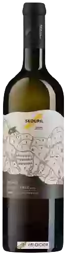 Wijnmakerij Petr Skoupil - Terroir Sauvignon Pozdní Sběr Suché