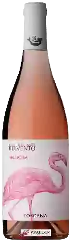 Wijnmakerij Petra - Belvento Velarosa Toscana (I Vini Del Mare)