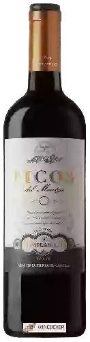 Wijnmakerij Picos del Montgó - Old Vines Tempranillo