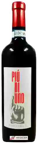 Wijnmakerij Pinbologna - Più di Uno