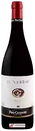 Wijnmakerij Pio Cesare - Il Nebbio