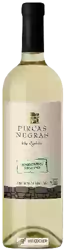 Wijnmakerij Pircas Negras - Torrontés