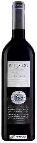 Bodega Pirineos - Selección Merlot - Cabernet Crianza