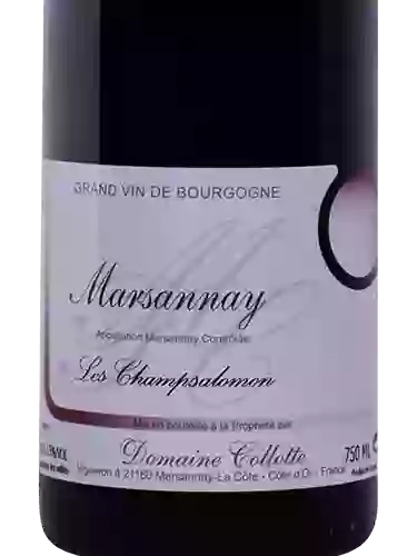 Wijnmakerij M Plouzeau - La Fine S