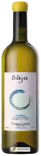 Wijnmakerij Poggio La Noce - Bàja Falanghina