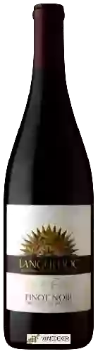 Wijnmakerij Pont du Nord - Languedoc Pinot Noir