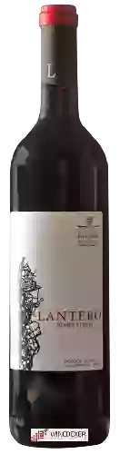 Wijnmakerij Privilegio del Condado - Lantero Roble Syrah