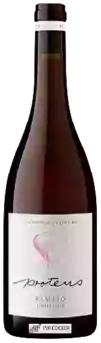 Wijnmakerij Proteus Wines - Ramato Pinot Gris