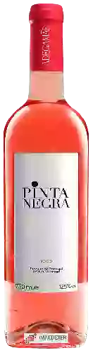 Wijnmakerij AdegaMãe - Pinta Negra Rosé