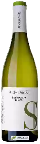 Wijnmakerij AdegaMãe - Sauvignon Blanc